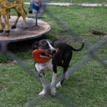 e16d4f65ae4f7fd1a2733d30c65b88e4