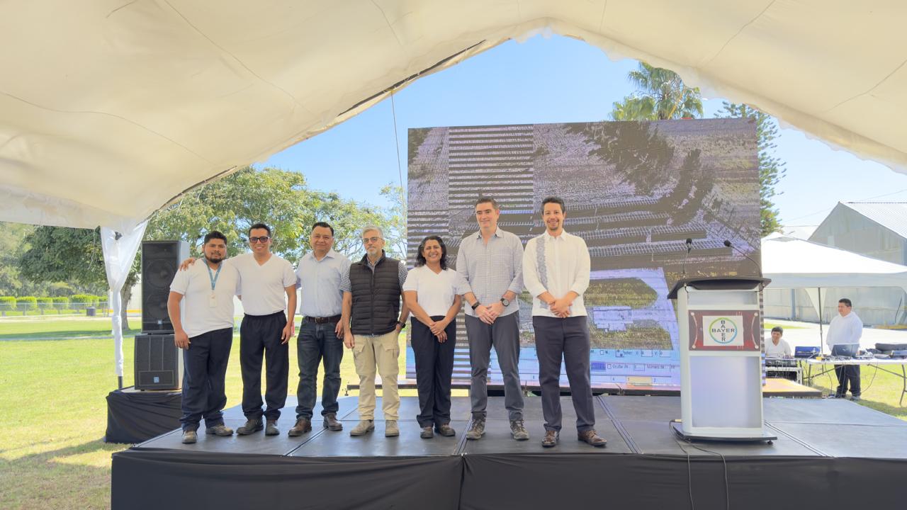 Imagen de WhatsApp 2025-02-27 a las 17.36.19_7a8bee67