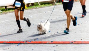 xr:d:DAF-1QTqIqU:5,j:8851120107054030517,t:24030715