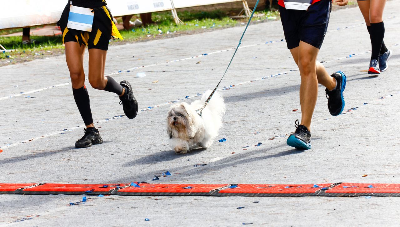 xr:d:DAF-1QTqIqU:5,j:8851120107054030517,t:24030715