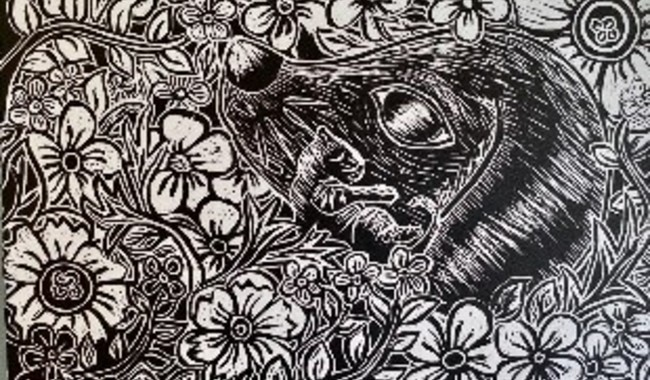 HABITAR- Encuentro gráfico de talento oaxaqueño y potosino