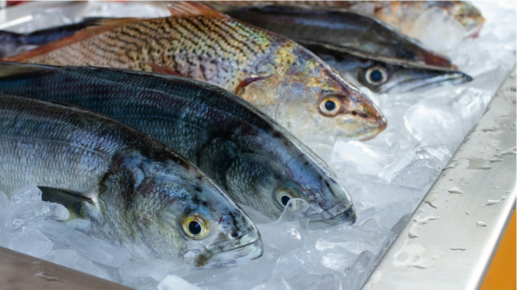 Guía práctica para elegir pescados y mariscos frescos en Semana Santa