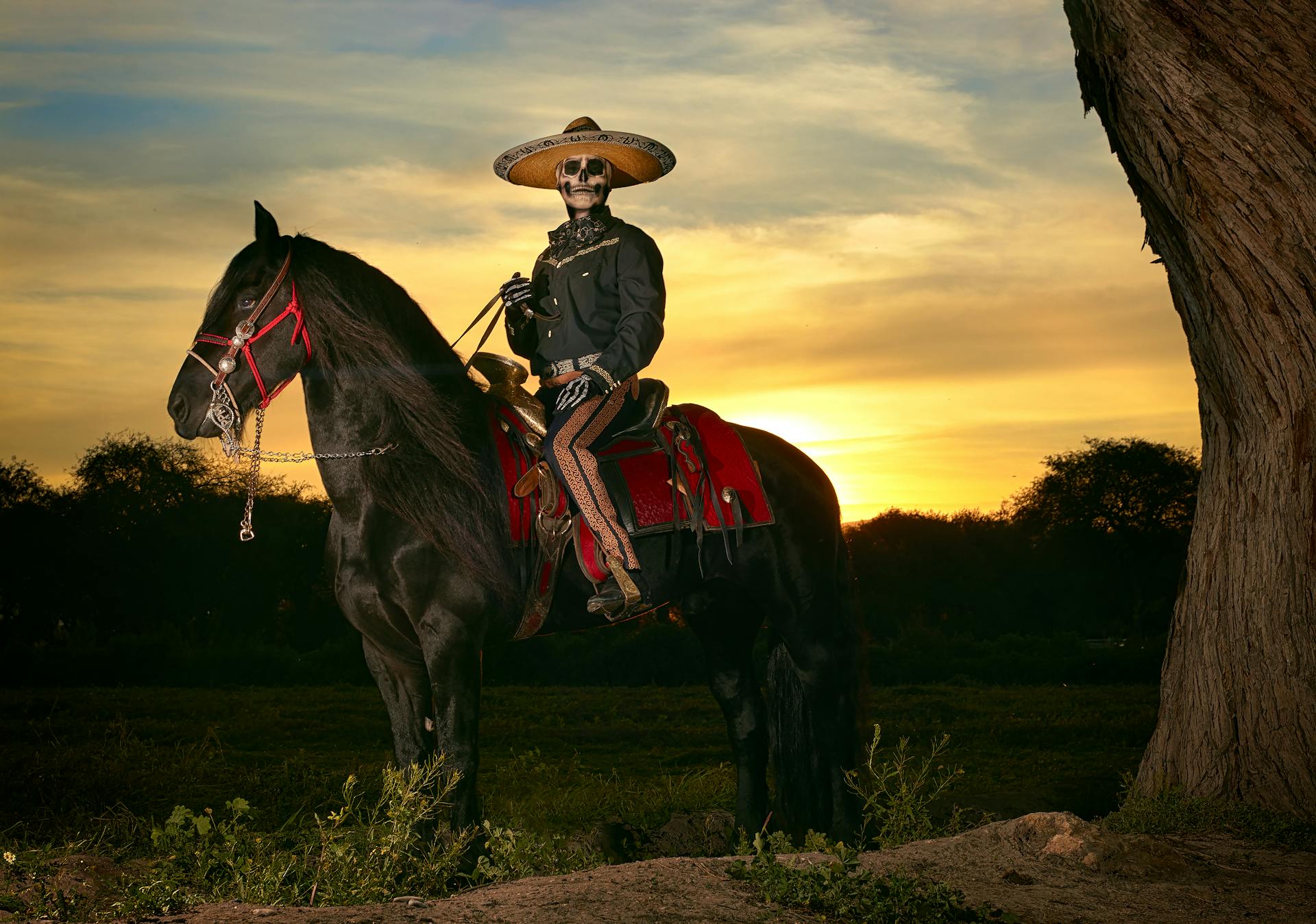 pexels-wulfranodelangel-28542392