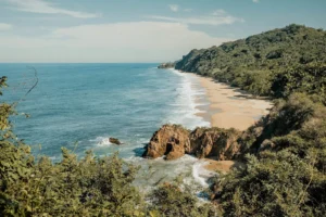 AF1QipPv_NYafBpd6DTqKdb0TtSzQCEX3IWWIVYGdNXm=s1600-k-no