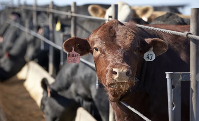 KYC4JSAPVZBAJECAHN6YQBCUY4