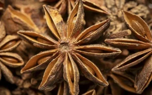 anis-pexels-13042025