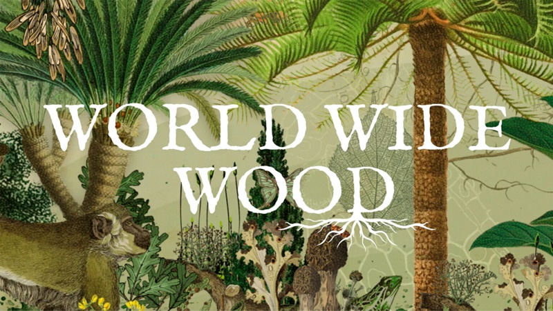 world-wide-wood-1536x866