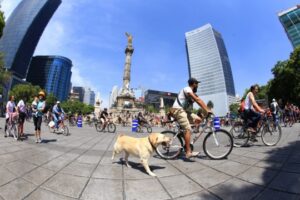 5b54d1ec0aa7c781609002