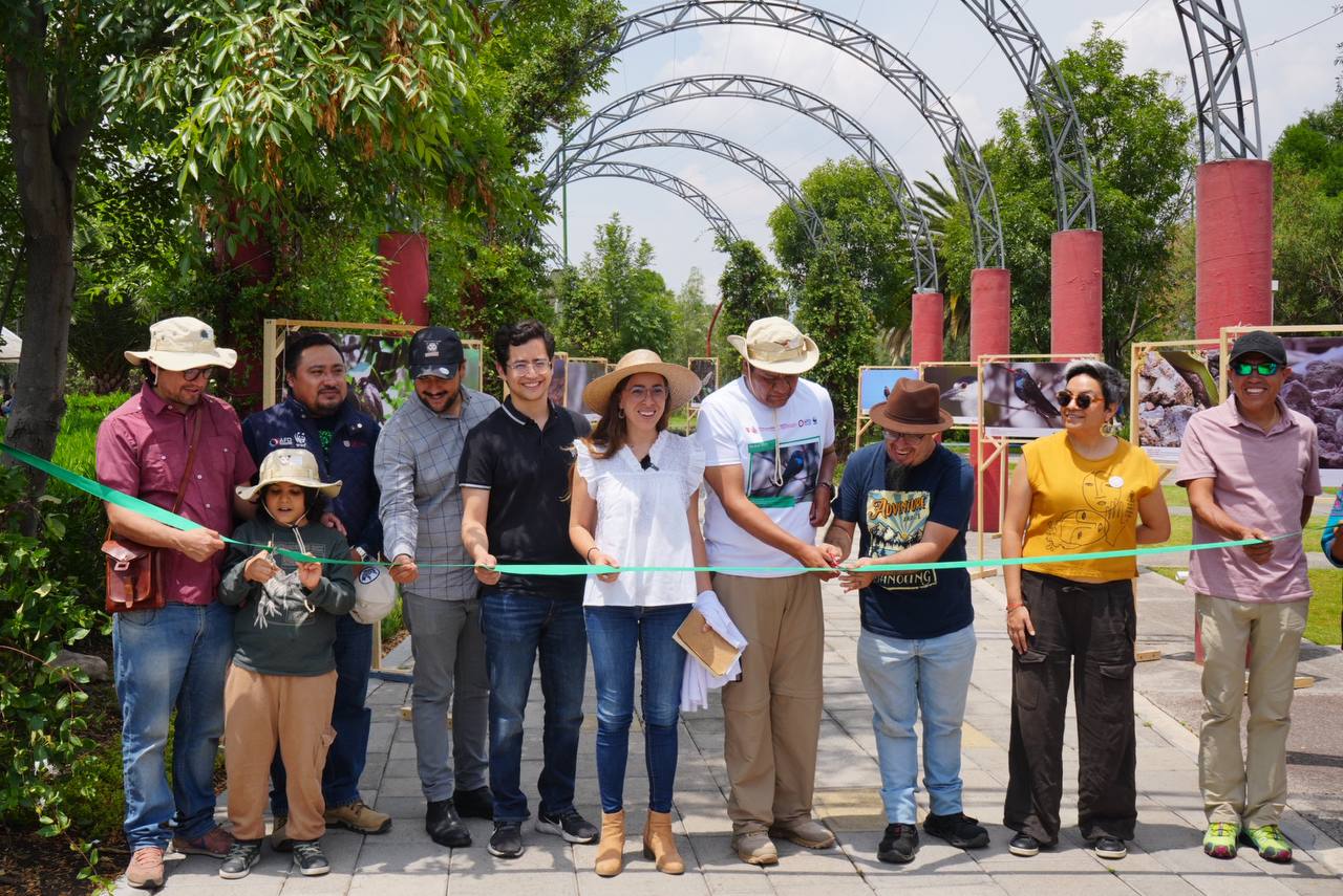 6834a7aed3b04294224182