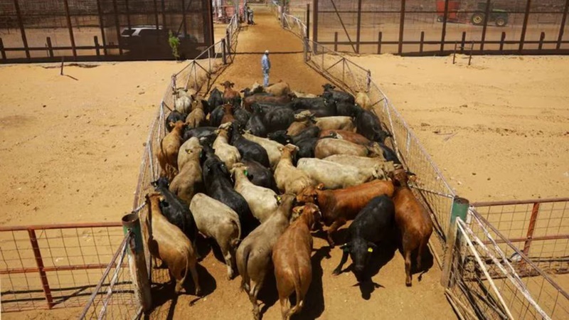 FVLF5BHGNRHY5PEDCUTX36UUAU