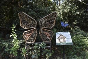 Hotel de insectos 2 Sedeman