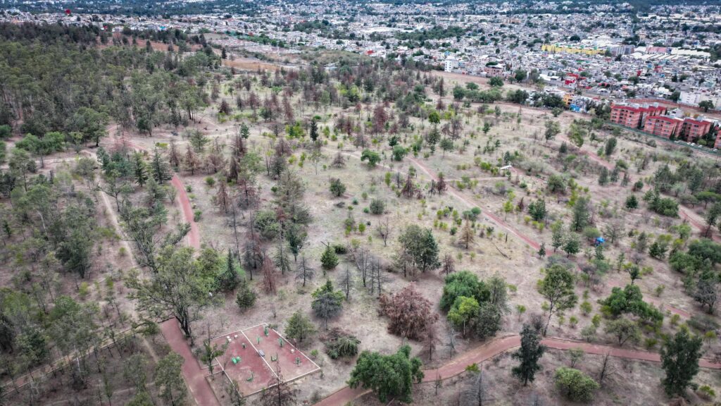 IMG-20250528-WA0152-1024x576