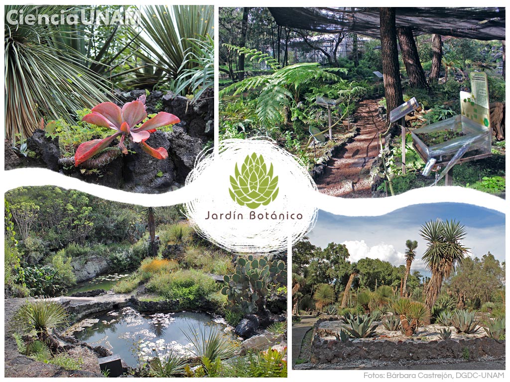 JARDÍN BOTÁNICO