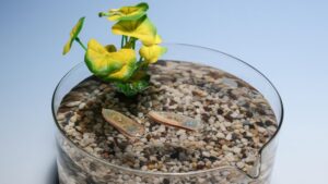 robot-acuatico-comestible-para-peces-1536x864