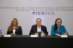 unnamed - 2025-05-14T111014.247