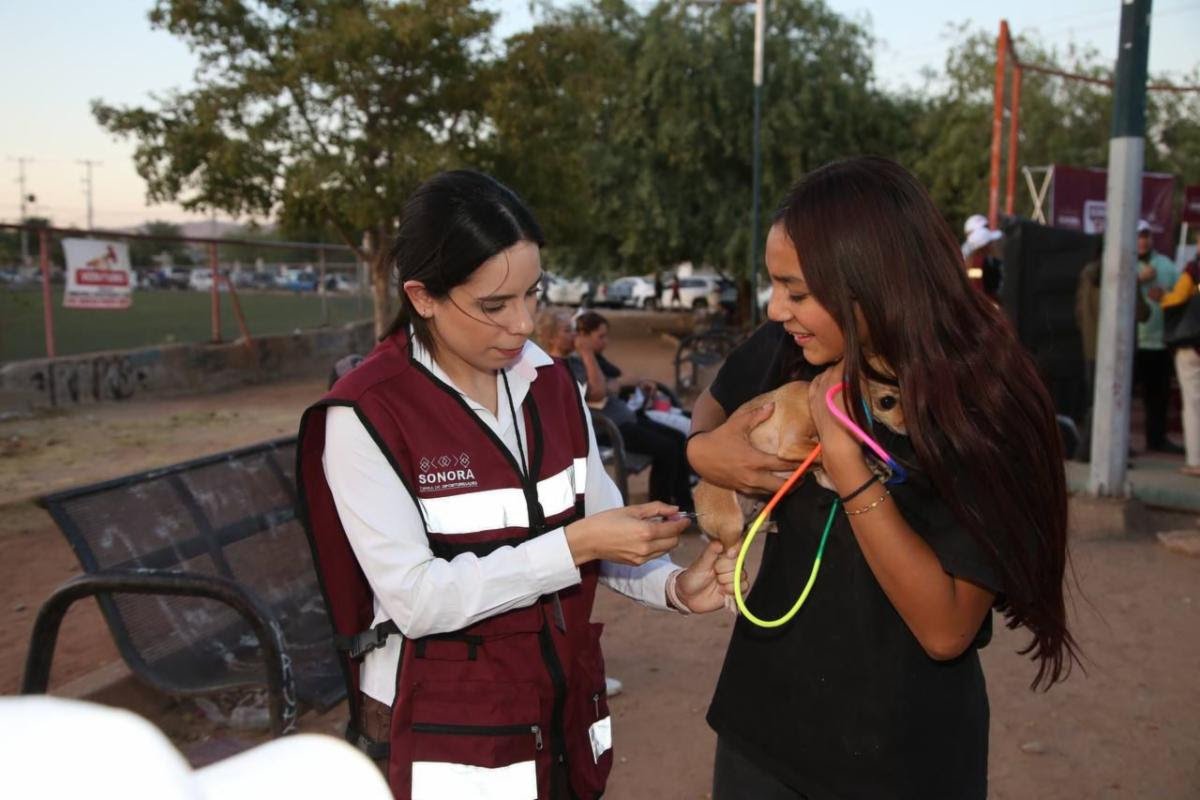 unnamed - 2025-05-29T110107.331