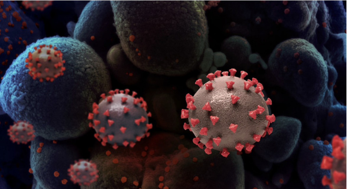 ¿Y si no fue Wuhan? China señala a EE.UU. como posible origen del Covid-19 en nuevo informe