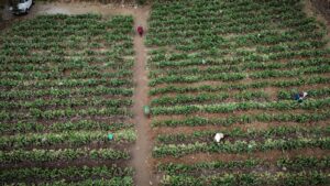 6845f1a8d5217583001993