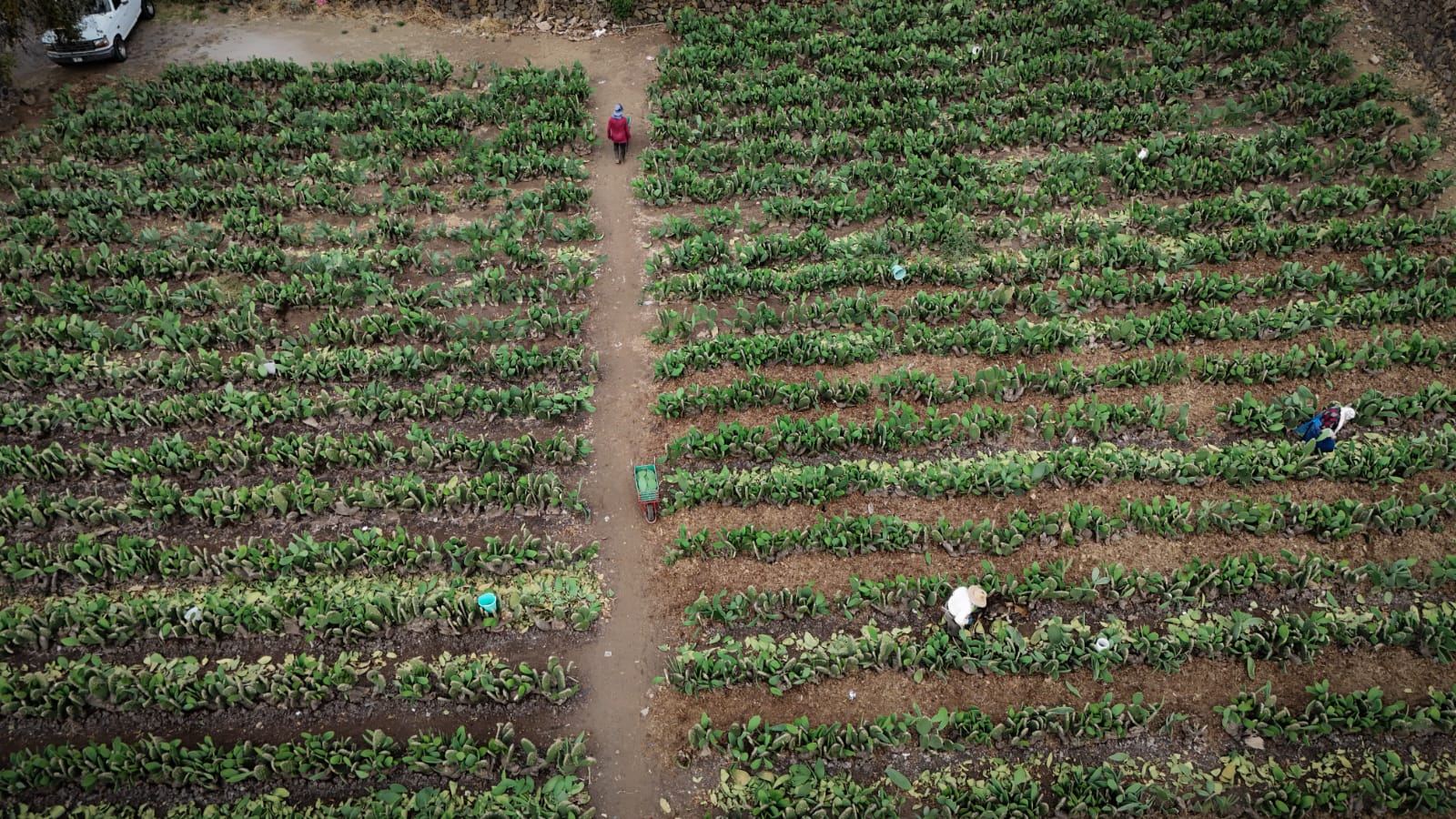 6845f1a8d5217583001993