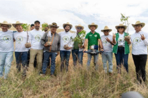 Con 5 millones de árboles, Oaxaca lanza la campaña más verde del país