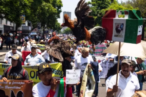 KTMTPYBCIZHNBBU4DCERT7G74Q