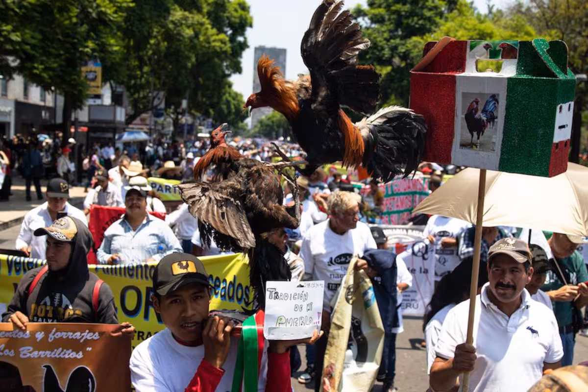 KTMTPYBCIZHNBBU4DCERT7G74Q