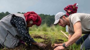 M63AQ4VT75ELPC2A75EBWREKWE