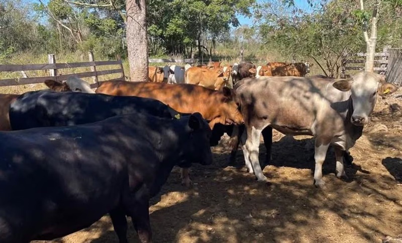 OV4RSVMU7RHQDKJDJQWBJXMURU