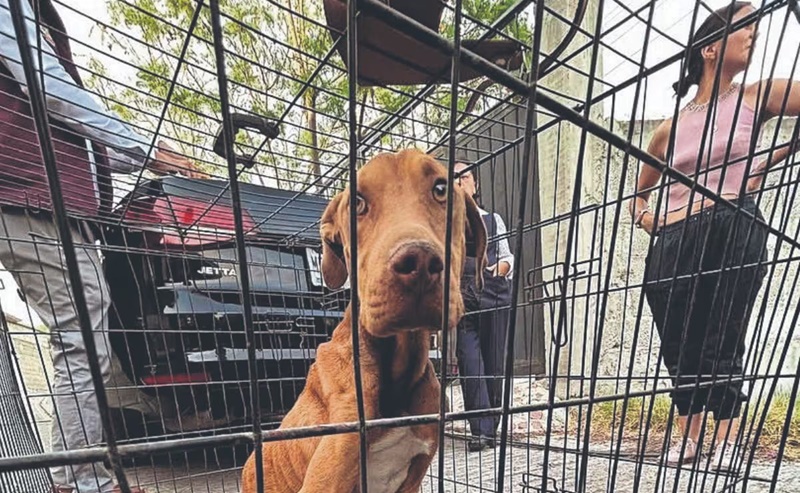 UK5IIJLKD5CC5ALZHCNOLTHDDY