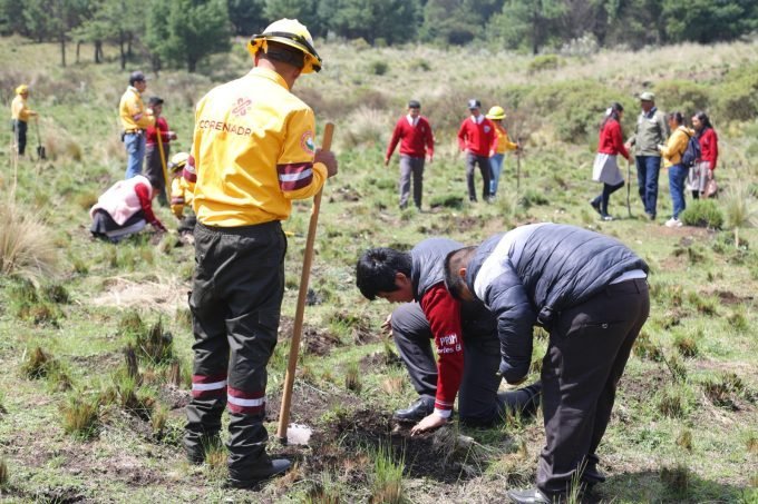 gobierno-del-estado-de-m-xico-reforestar-con-455-mil-rboles-para-proteger-bosques-de-agua-en-l-mite-con-cdmx