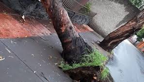 images - 2025-06-17T123901.459