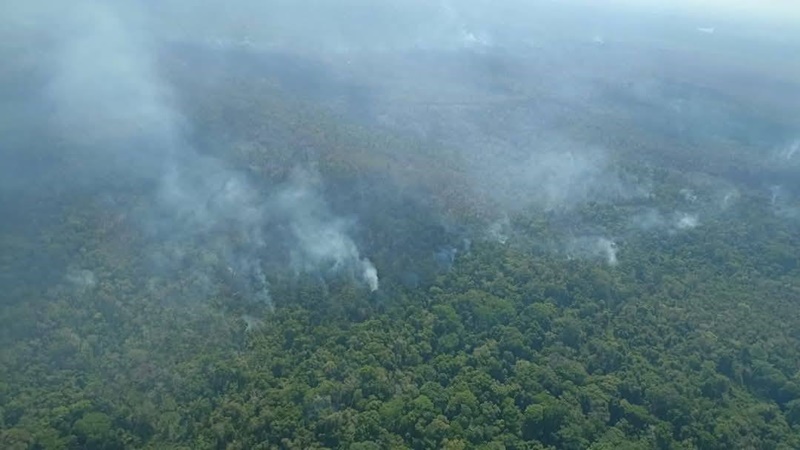 incendio-forestal-en-selva-lacandona-de-chiapas