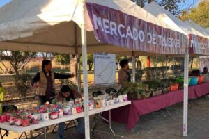 mercado-del-trueque-2025-cdmx-calendario-productos