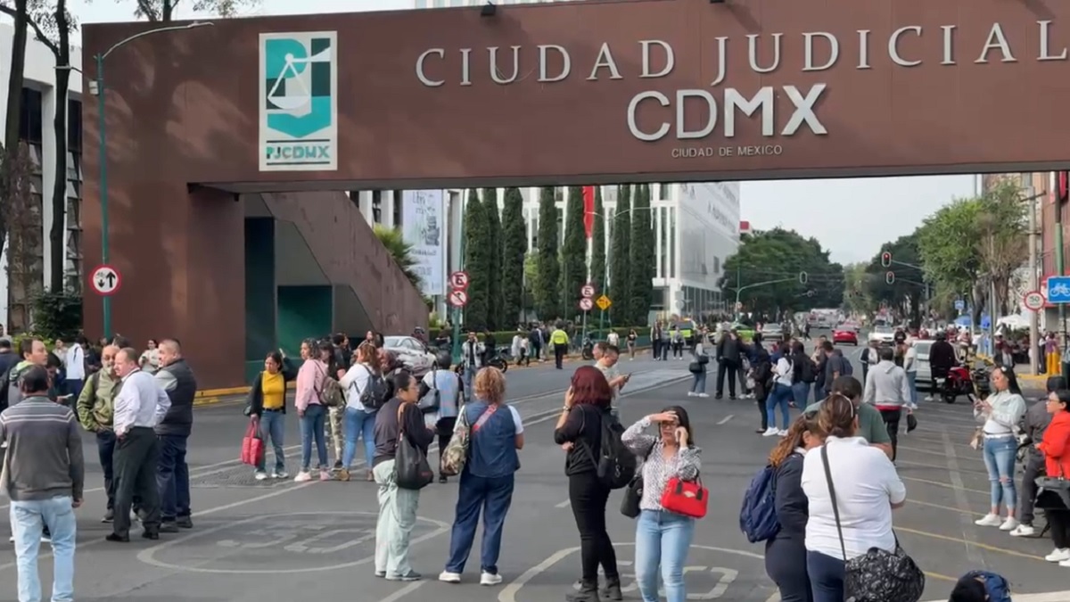 se-desata-pelea-entre-trabajadores-del-tsj-cdmx-y-supuesto-grupo-de-choque-videos-105456
