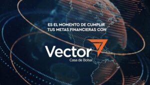 vector-casa-de-bolsa