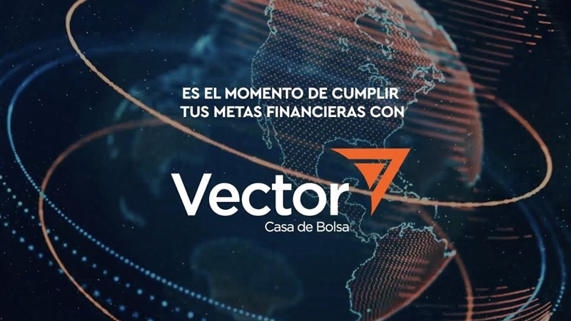 vector-casa-de-bolsa