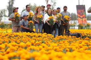 68f2e7a680b54779262891