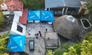 Golpe millonario al CJNG en Veracruz- aseguran predios y vehículos ligados a ‘El Fallo’