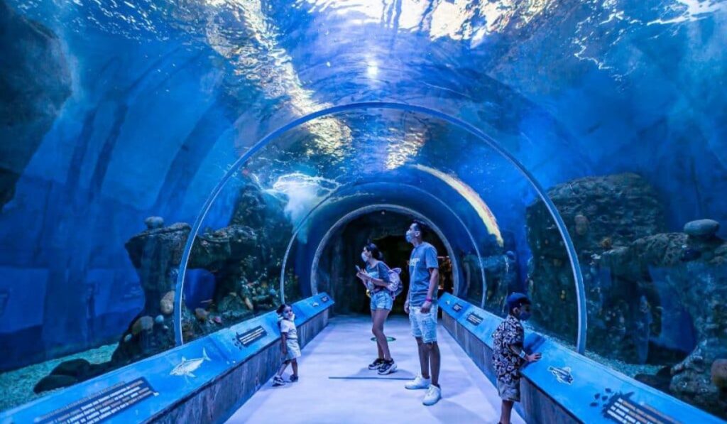 Que_hacer_en_CDMX_este_fin_de_semana_desfiles_experiencias_inmersivas_y_mas_17102025-2