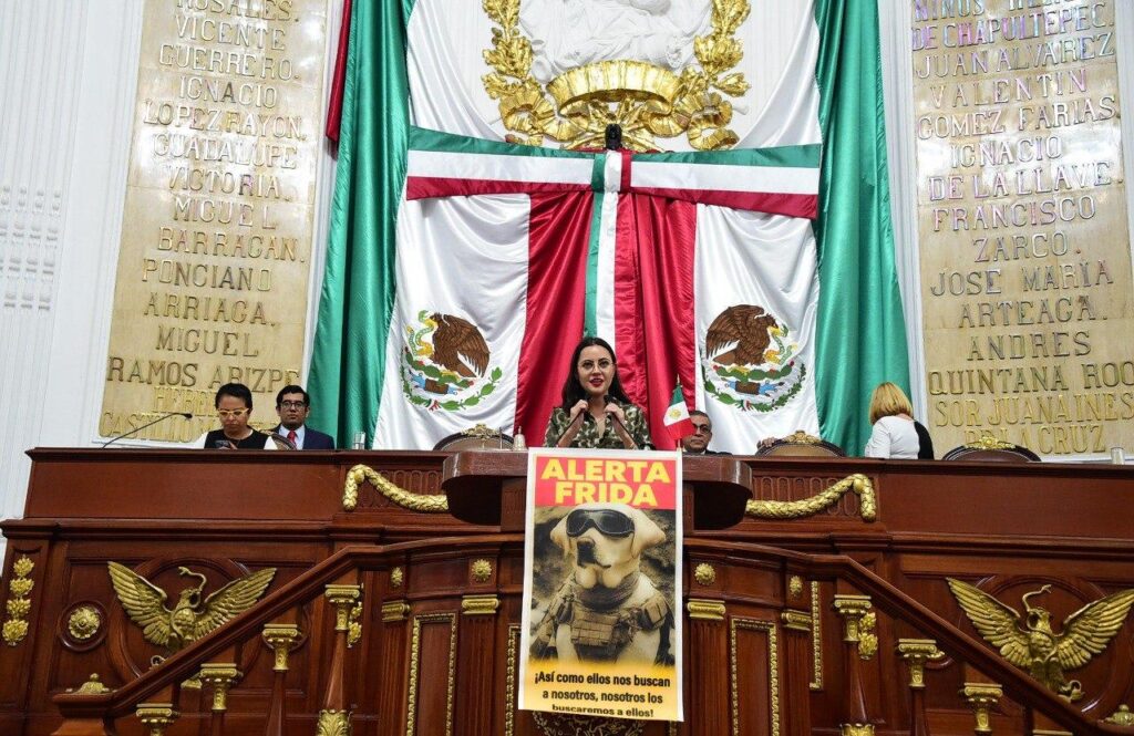 ad508a8d9df187bd6c388791bb5bcd260cd6008c