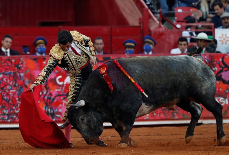 Un juez suspende las corridas de toros en dos municipios del estado mexicano de Puebla