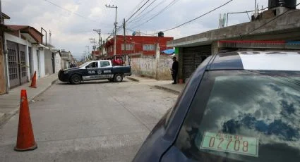 f425x230-128064_142046_5050