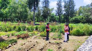 images - 2025-10-21T074141.730