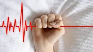 images - 2025-10-29T074112.160