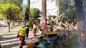 images - 2025-10-30T074625.166