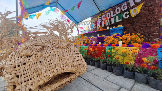 thumb_31018_640_360_0_0_crop