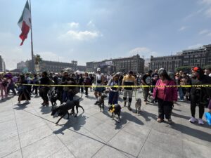 6907dc95cc200570581194