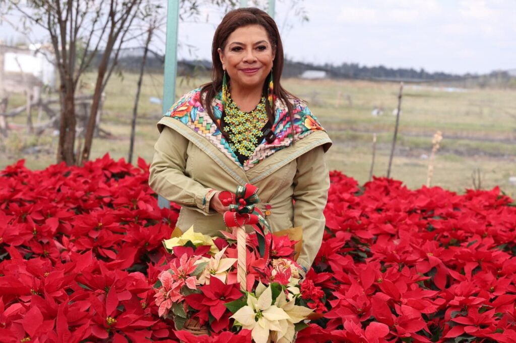 6928e9d936136089013261