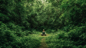 un_bosque_verde_y_frondoso_con_un (1)