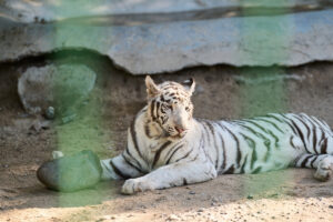 unnamed - 2025-11-21T071603.719